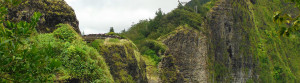 Pali cliffs and lookout from Old Pali Highway