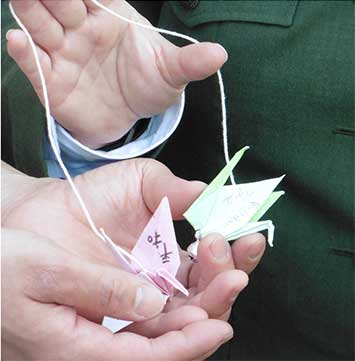 closeup of two folded cranes, one pink and one green, in open hands