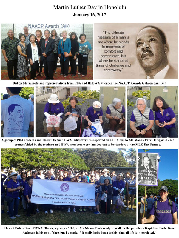 MLK Parade 2017 - photo collage