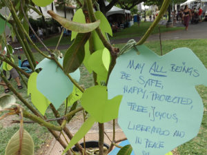 VegFest Oahu - peace tree leaf closeup