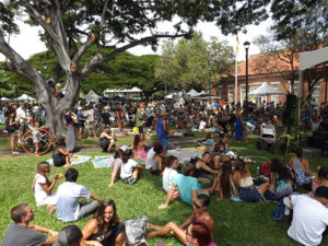 VegFest Oahu - relaxing on the lawn by the stage