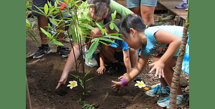 Dharma School students planting a tree in Waianae