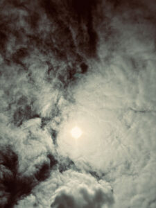 2026 HHMH poster contest entry #6