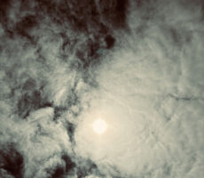 Cynthia Chung, Hongwanji Mission School, “Find the Light Within”